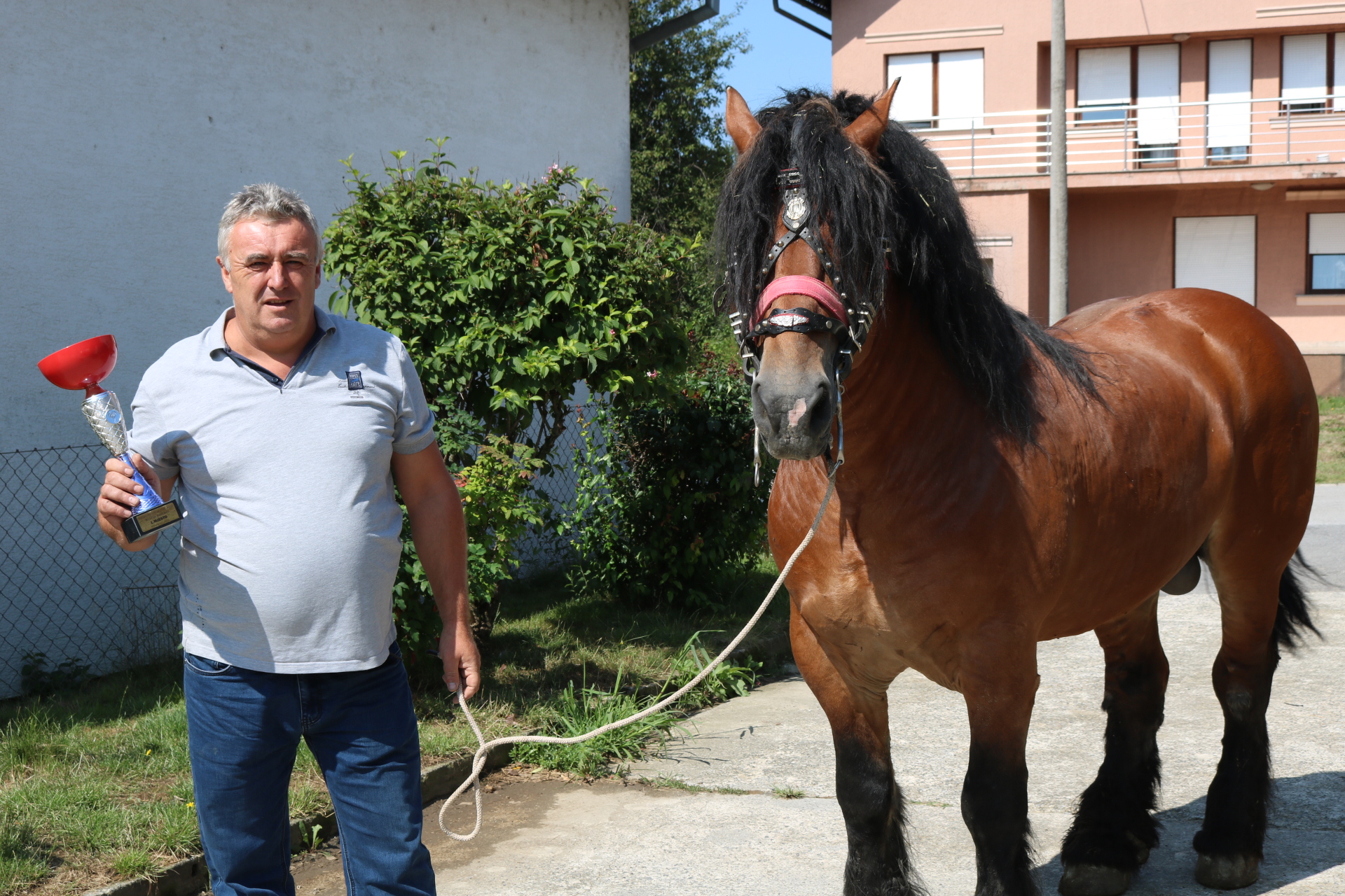 IZLOŽBA KONJA U MIHALJEVCIMA Vilenjaku 1. mjesto s pastuhom Mangom