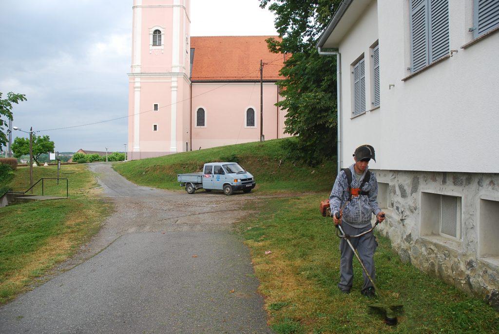 GRAD PAKRAC Obvezno uklanjanje ambrozije